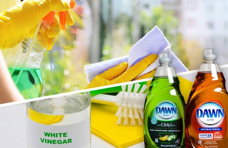 Cleaning Windows with Vinegar and Dawn The Easiest Method